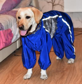 DSC_7329aSm.jpg (131.84 КБ, Просмотров: 29729) DSC_7329aSm.jpg