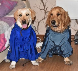 DSC_7336aSm.jpg (152.24 КБ, Просмотров: 29729) DSC_7336aSm.jpg