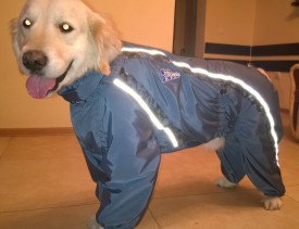 WP_20160305_032.jpg (211.69 КБ, Просмотров: 29729) WP_20160305_032.jpg