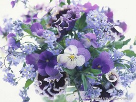 цветочки.jpg (82.35 КБ, Просмотров: 1873) цветочки.jpg