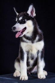 tegMCEItBdM.jpg (127.63 КБ, Просмотров: 1132) tegMCEItBdM.jpg