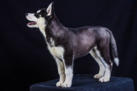 xxoOl3_P_H0.jpg (160.08 КБ, Просмотров: 1132) xxoOl3_P_H0.jpg