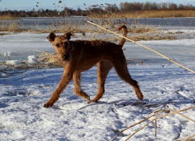 2016-03-18-1 (107)1.jpg (396.78 КБ, Просмотров: 1717) 2016-03-18-1 (107)1.jpg