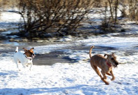 2016-03-18-1 (391).jpg (691.73 КБ, Просмотров: 1717) 2016-03-18-1 (391).jpg