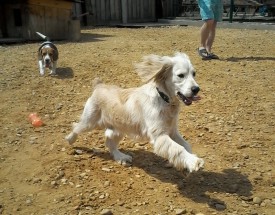 20150614_130241.jpg (275.17 КБ, Просмотров: 3183) 20150614_130241.jpg