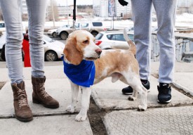 DSC_1852.jpg (145.93 КБ, Просмотров: 3586) DSC_1852.jpg