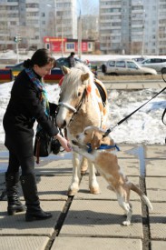 21t0cn3GBeI.jpg (124.91 КБ, Просмотров: 3586) 21t0cn3GBeI.jpg