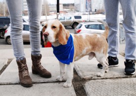 DSC_1853.jpg (140.92 КБ, Просмотров: 3584) DSC_1853.jpg