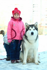 image (13).jpg (85.64 КБ, Просмотров: 3656) image (13).jpg