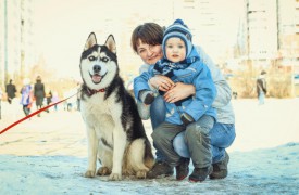 image (29).jpg (102.44 КБ, Просмотров: 3584) image (29).jpg