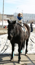 U11fF8JDT7Y.jpg (101.48 КБ, Просмотров: 3583) U11fF8JDT7Y.jpg