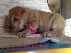 image.jpg (10.52 КБ, Просмотров: 1041) image.jpg