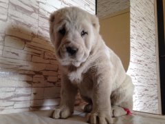 image (2).jpg (11.87 КБ, Просмотров: 1041) image (2).jpg