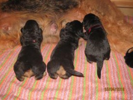 эн.jpg (16.49 КБ, Просмотров: 1823) эн.jpg