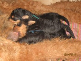 эн3.jpg (15.77 КБ, Просмотров: 1823) эн3.jpg