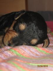 эн4.jpg (6.98 КБ, Просмотров: 1823) эн4.jpg