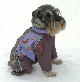 Риччи.jpg (56.84 КБ, Просмотров: 29620) Риччи.jpg