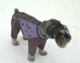 25022016846.jpg (62.38 КБ, Просмотров: 31300) 25022016846.jpg