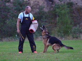 kNl2UCKUsP4.jpg (55.9 КБ, Просмотров: 3054) kNl2UCKUsP4.jpg