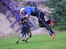 OYaMe5G8zhU.jpg (50.49 КБ, Просмотров: 3054) OYaMe5G8zhU.jpg