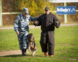 Tv_1fl9h0iU.jpg (90.93 КБ, Просмотров: 2821) Tv_1fl9h0iU.jpg