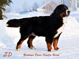 стойка.jpg (90.39 КБ, Просмотров: 2388) стойка.jpg