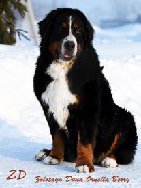 сидя.jpg (90.99 КБ, Просмотров: 2276) сидя.jpg