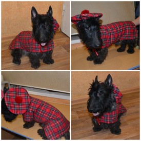 ю.jpg (145.62 КБ, Просмотров: 11159) ю.jpg