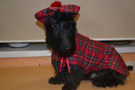 юь.jpg (119.22 КБ, Просмотров: 11152) юь.jpg