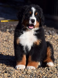 DSC_0394.jpg (254.18 КБ, Просмотров: 2187) DSC_0394.jpg