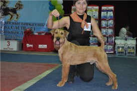 001323a738e2.jpg (38.66 КБ, Просмотров: 6741) 001323a738e2.jpg