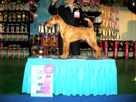 САСIB Е-бург09.jpg (83.66 КБ, Просмотров: 6730) САСIB Е-бург09.jpg