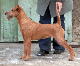 CT3219.jpg (97.03 КБ, Просмотров: 6614) CT3219.jpg