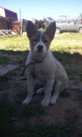 IMG_20160605_154605.jpg (26.92 КБ, Просмотров: 1665) IMG_20160605_154605.jpg