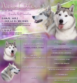 новый размер.jpg (353.23 КБ, Просмотров: 1729) новый размер.jpg