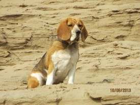 Библиотека 078.JPG (80.62 КБ, Просмотров: 2070) Библиотека 078.JPG