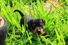 идет.jpg (159.83 КБ, Просмотров: 7383) идет.jpg