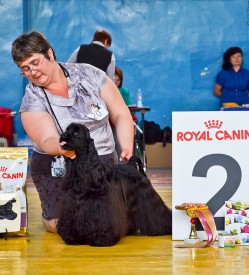 31.5.jpg (168.55 КБ, Просмотров: 1432) 31.5.jpg