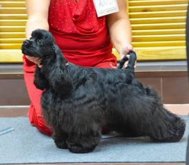 Куба.jpg (155.06 КБ, Просмотров: 1432) Куба.jpg