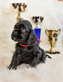 Ляля.jpg (398.26 КБ, Просмотров: 1430) Ляля.jpg