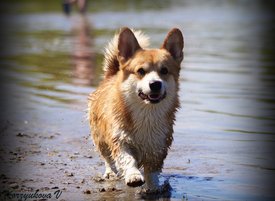 de24882bb0aea0a28d0569e20fdc47e8.jpg (345.79 КБ, Просмотров: 26661) de24882bb0aea0a28d0569e20fdc47e8.jpg