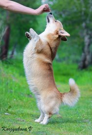 68403fdff24965f4886ca7a2cf5b96c0.jpg (241.89 КБ, Просмотров: 26321) 68403fdff24965f4886ca7a2cf5b96c0.jpg