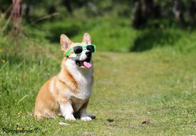 9cf1ab60a134a85a3993e54865fa3404.jpg (358.58 КБ, Просмотров: 26850) 9cf1ab60a134a85a3993e54865fa3404.jpg