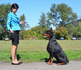 f5e2f03358133d824cee9154ba7edbe4.jpg (108.82 КБ, Просмотров: 1574) f5e2f03358133d824cee9154ba7edbe4.jpg