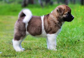 0a7582a935d9283ae6c0810881c12fce.jpg (392.2 КБ, Просмотров: 26653) 0a7582a935d9283ae6c0810881c12fce.jpg