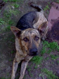 5zfIfjFOx-o.jpg (46.01 КБ, Просмотров: 1683) 5zfIfjFOx-o.jpg