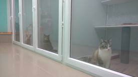 ANNY2fF2_mI.jpg (79.69 КБ, Просмотров: 3589) ANNY2fF2_mI.jpg