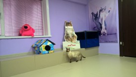 w7oahLUuHJI.jpg (146.43 КБ, Просмотров: 3468) w7oahLUuHJI.jpg