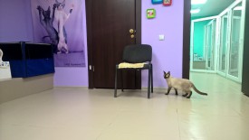 vjrYc8jYj_E.jpg (118.27 КБ, Просмотров: 3467) vjrYc8jYj_E.jpg