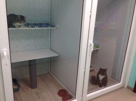 XU6sIyAKdNg.jpg (94.7 КБ, Просмотров: 3588) XU6sIyAKdNg.jpg